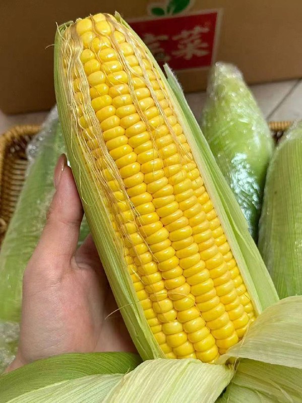 宝菜 低脂水果玉米净重5斤