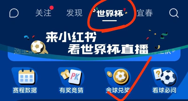 红薯世界杯左下角拿球抽