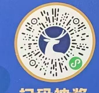 券包没用 认0元