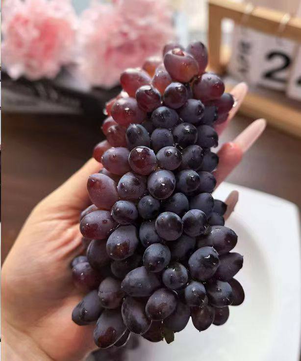 🍇葡萄降价了‼【自营】京鲜生 云南茉莉香葡萄净重2.8-3.3斤 单果4g+