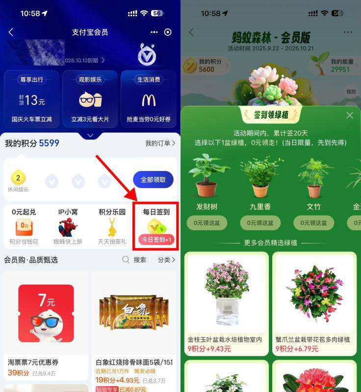 【支付宝蚂蚁森林签20天领绿植】支付宝搜索“支付宝会员”->右侧“每日签到”->累计签到20天0亓领绿植包邮